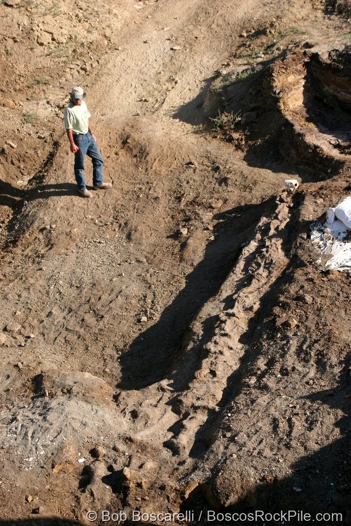 The Straight Arrow trench end-on, the Diplodocus vertebrae running toward the skull, white jacketing at right. Shell Wyoming, June 23, 2007.