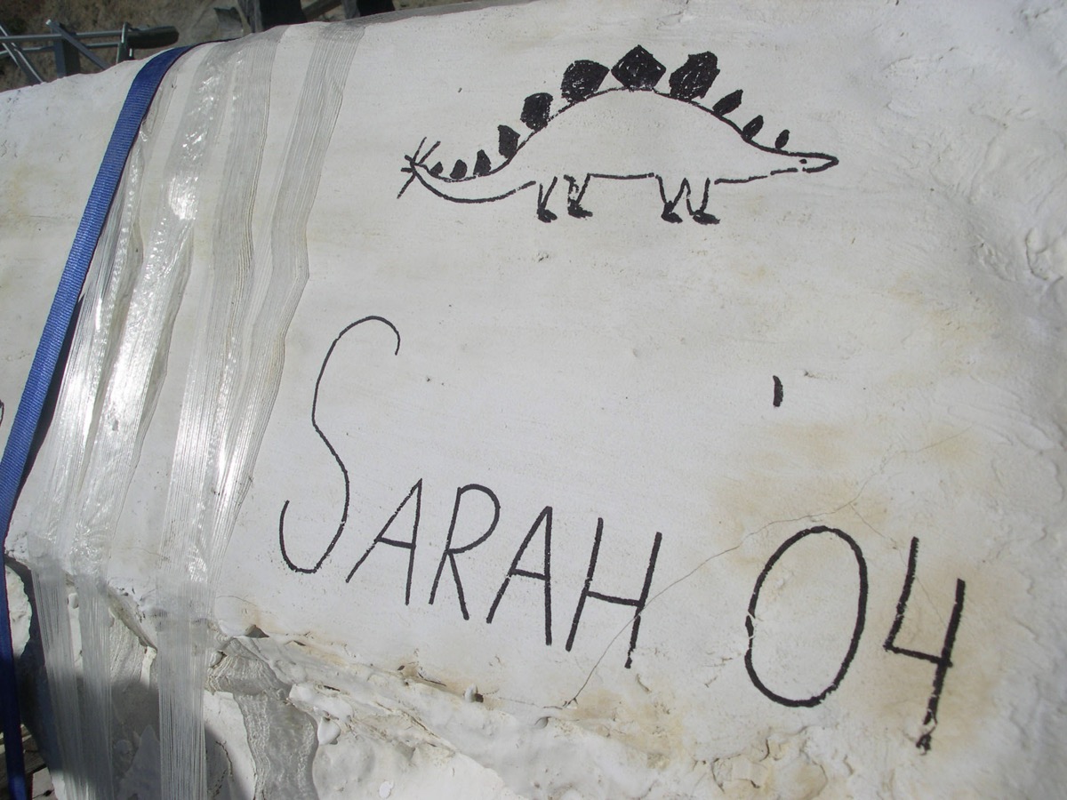 The plaster field jacket labeled "SARAH '04" with a field sketch of the animal — how the bones rode out of the Shell Wyoming quarry. Jacketing was done by Kirby Siber's team after our crew's excavation.