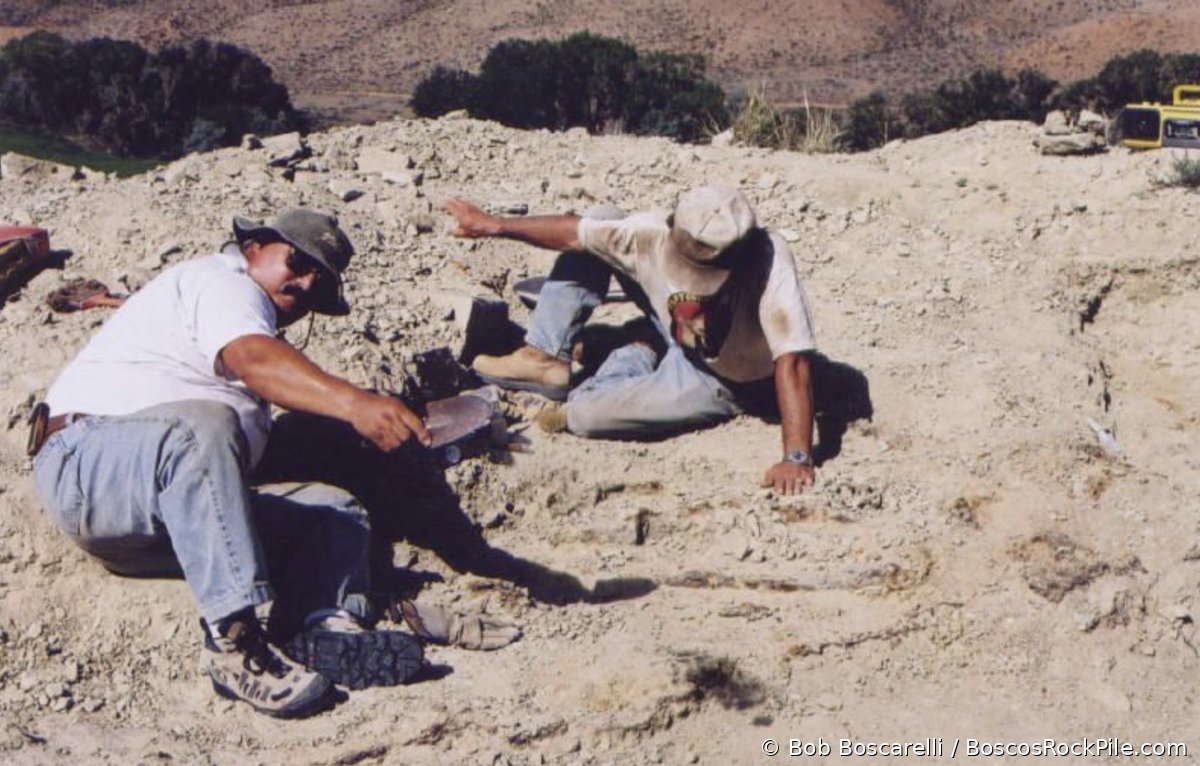 Excavating Sarah the Stegosaurus, Shell, Wyoming.