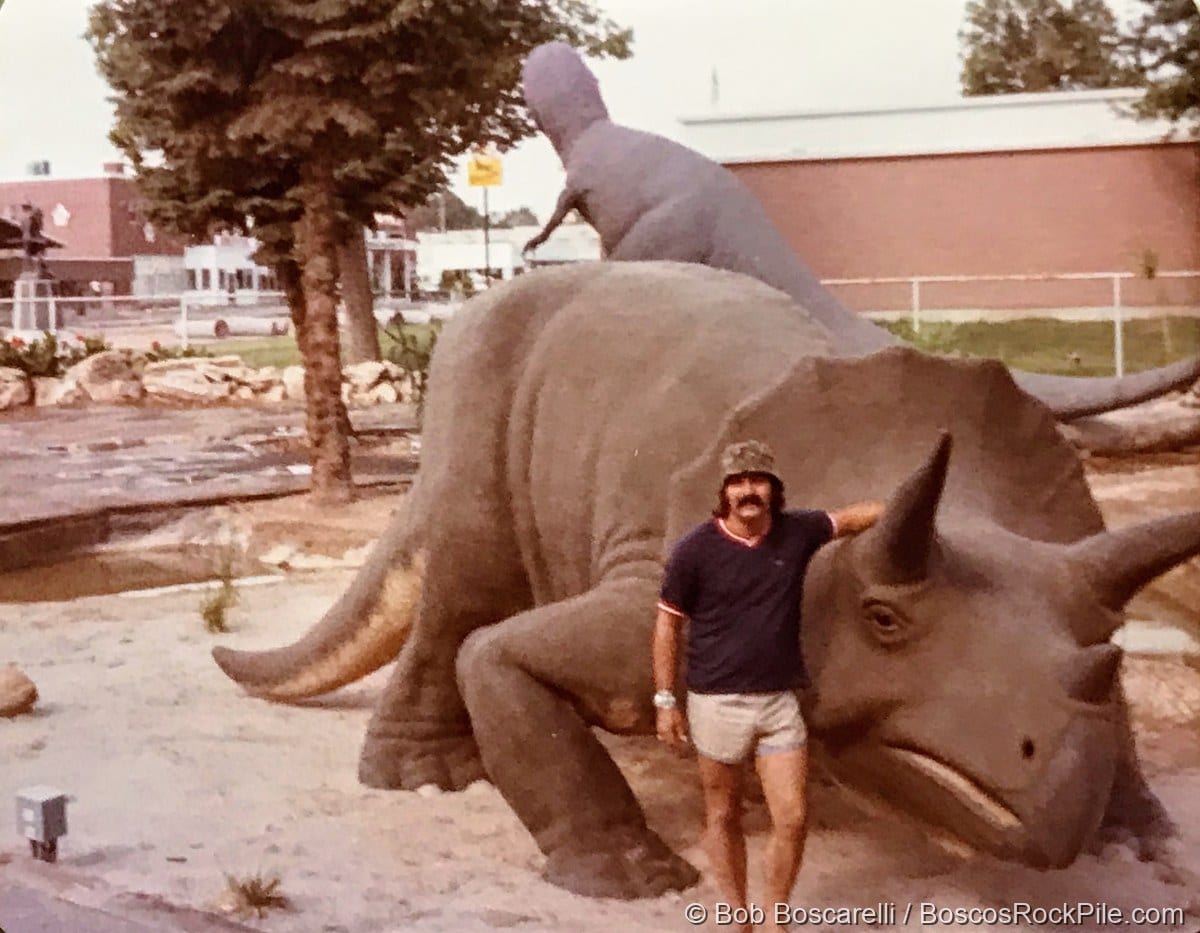 Bosco beside a Triceratops at Vernal, Utah