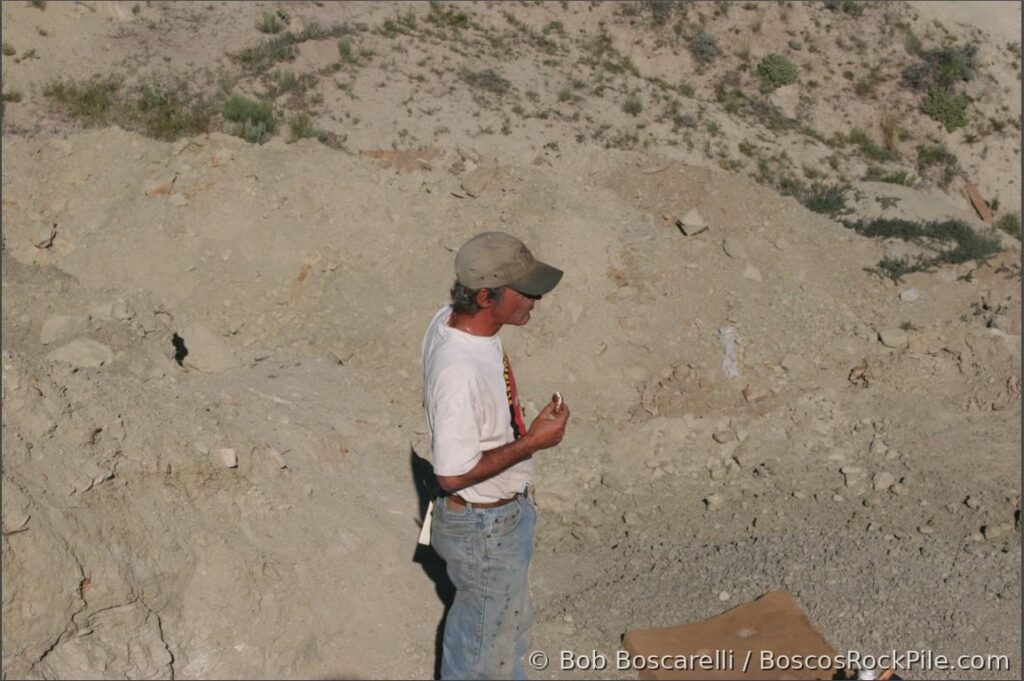 Bob Simon, organizer of the Red Canyon Ranch excavations, at the Sarah Stegosaurus quarry in Shell Wyoming