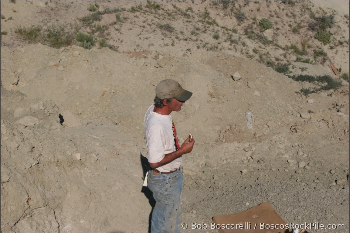 Bob Simon, organizer of the Red Canyon Ranch excavations, at the Sarah Stegosaurus quarry in Shell Wyoming
