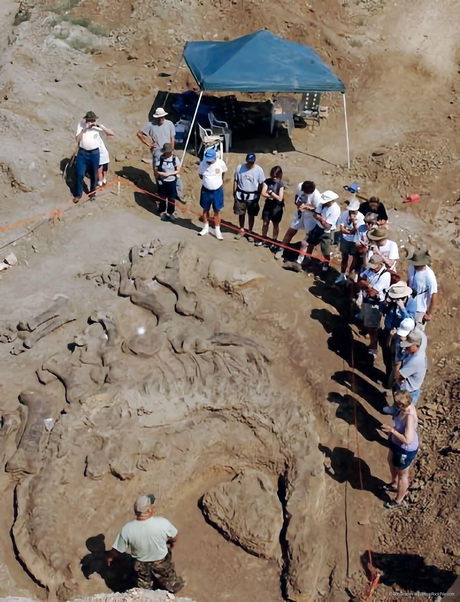 Camarasaurus sp. quarry overview Shell Wyoming 2007 with 20 visitors for scale