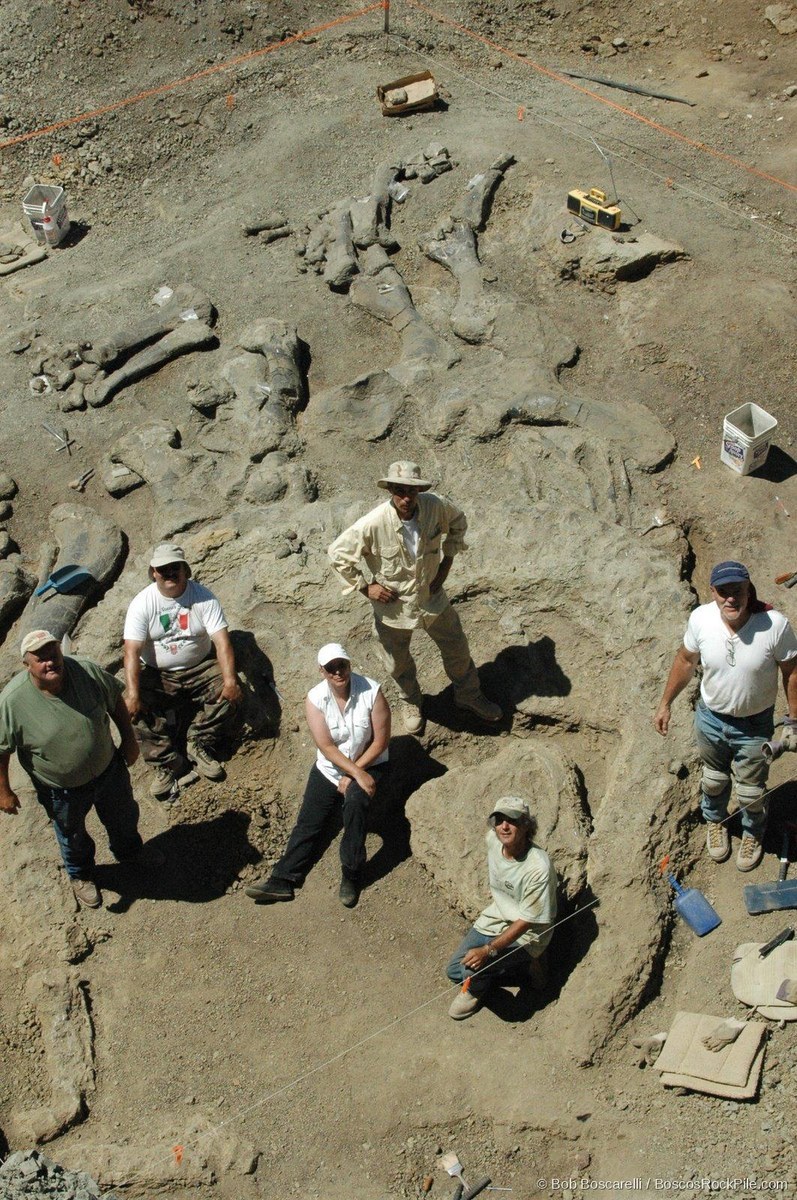 Dig crew team portrait in the quarry