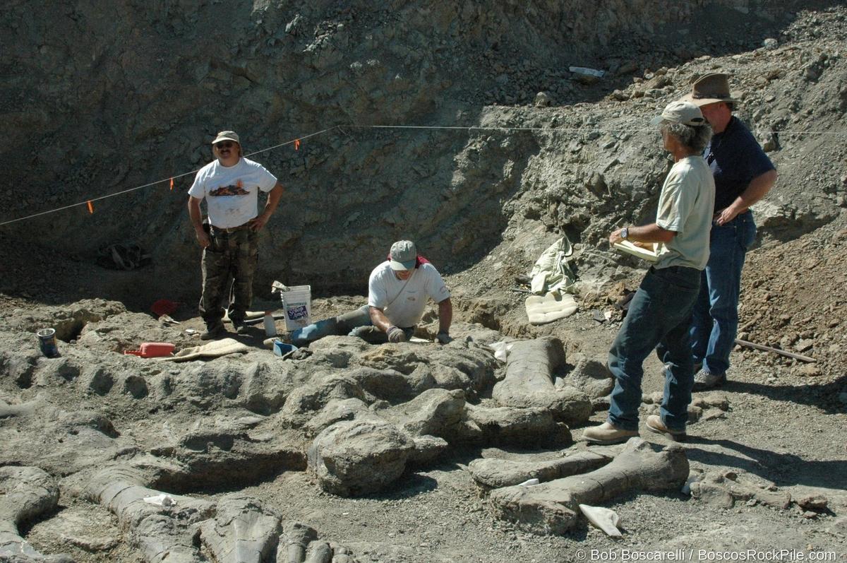 Three crew members with exposed skeleton