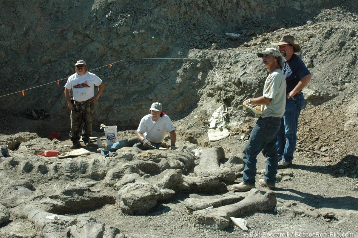 Dig crew discussing specimen — quarry floor