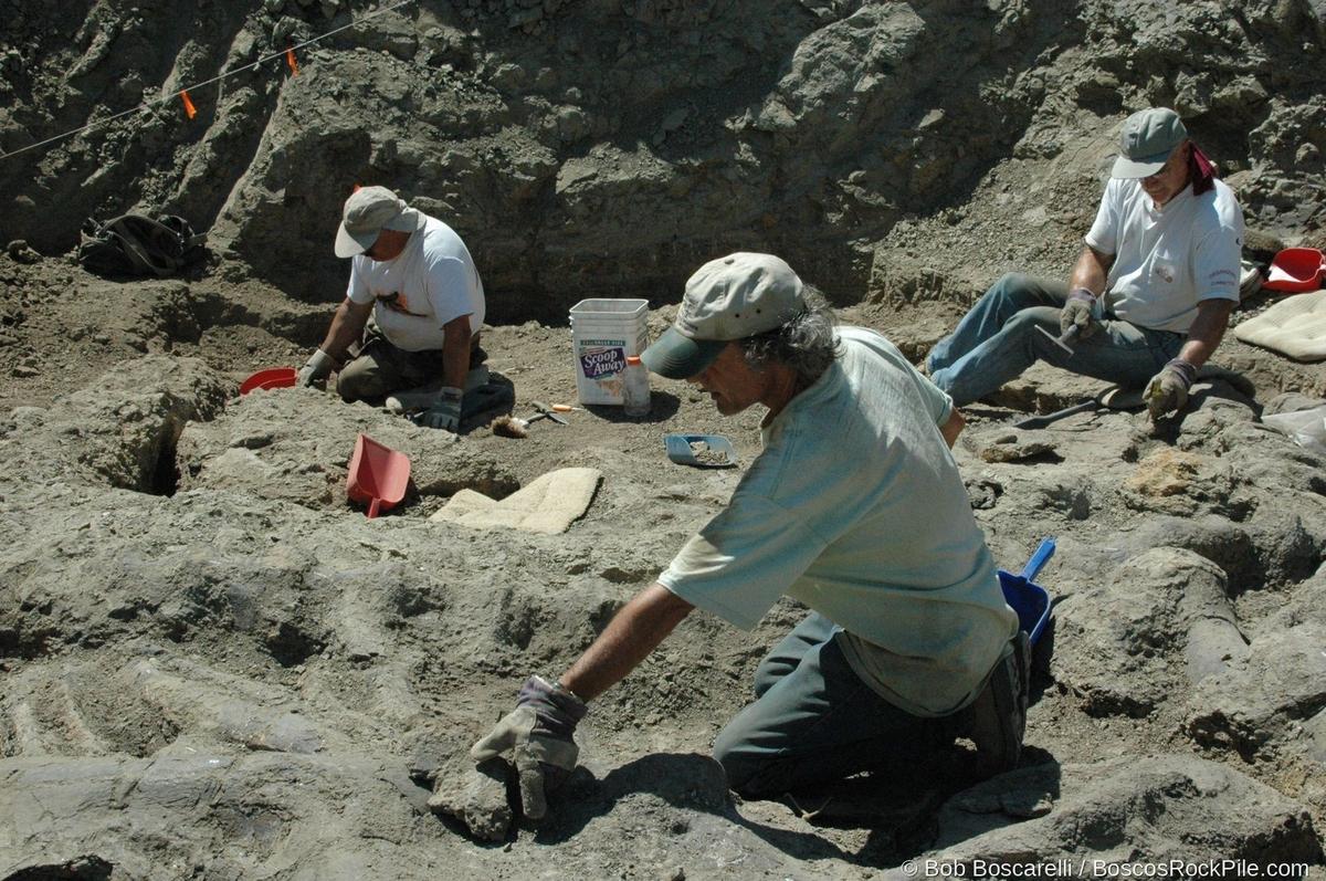 Three diggers actively excavating quarry face