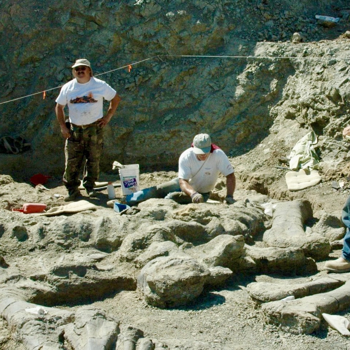 Exposed rock strata at an active paleontology field site