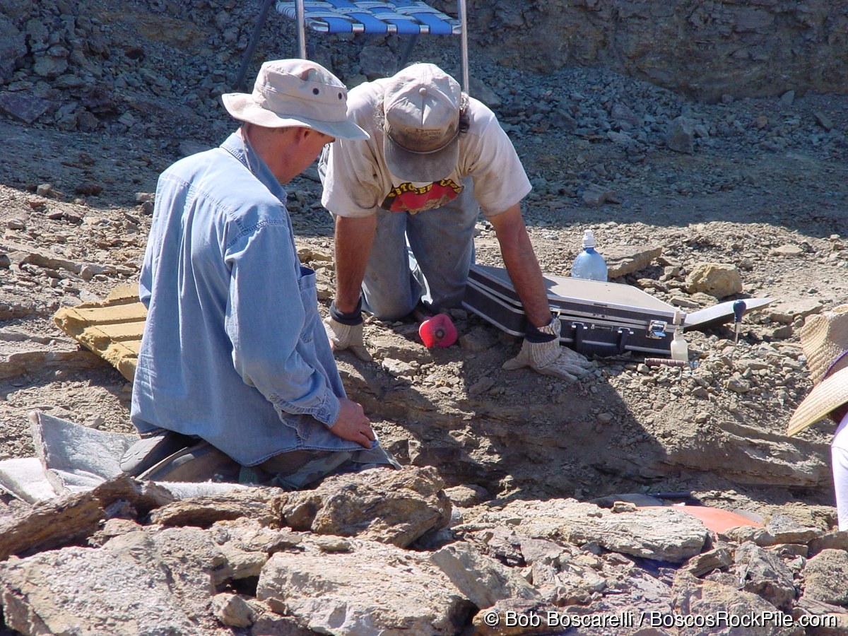 Bob Boscarelli and Don excavating at the Sundance Wyoming quarry, July 2004