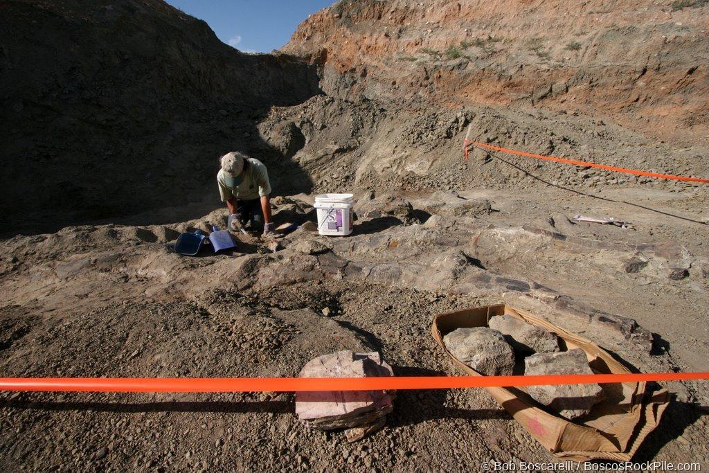 Excavation with Morrison Formation stratigraphy backdrop