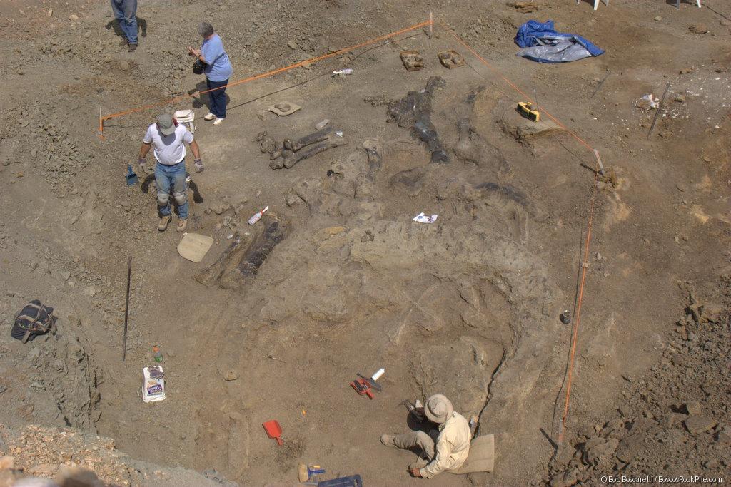 Aerial view — three diggers, full skeleton