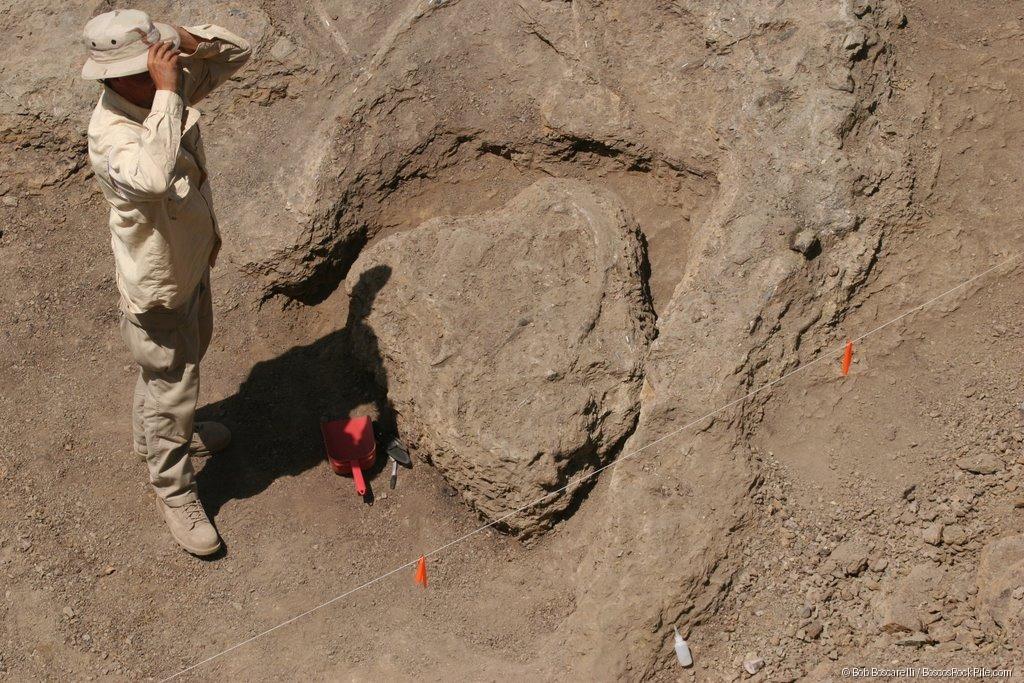 Discovery moment — person with large circular bone element