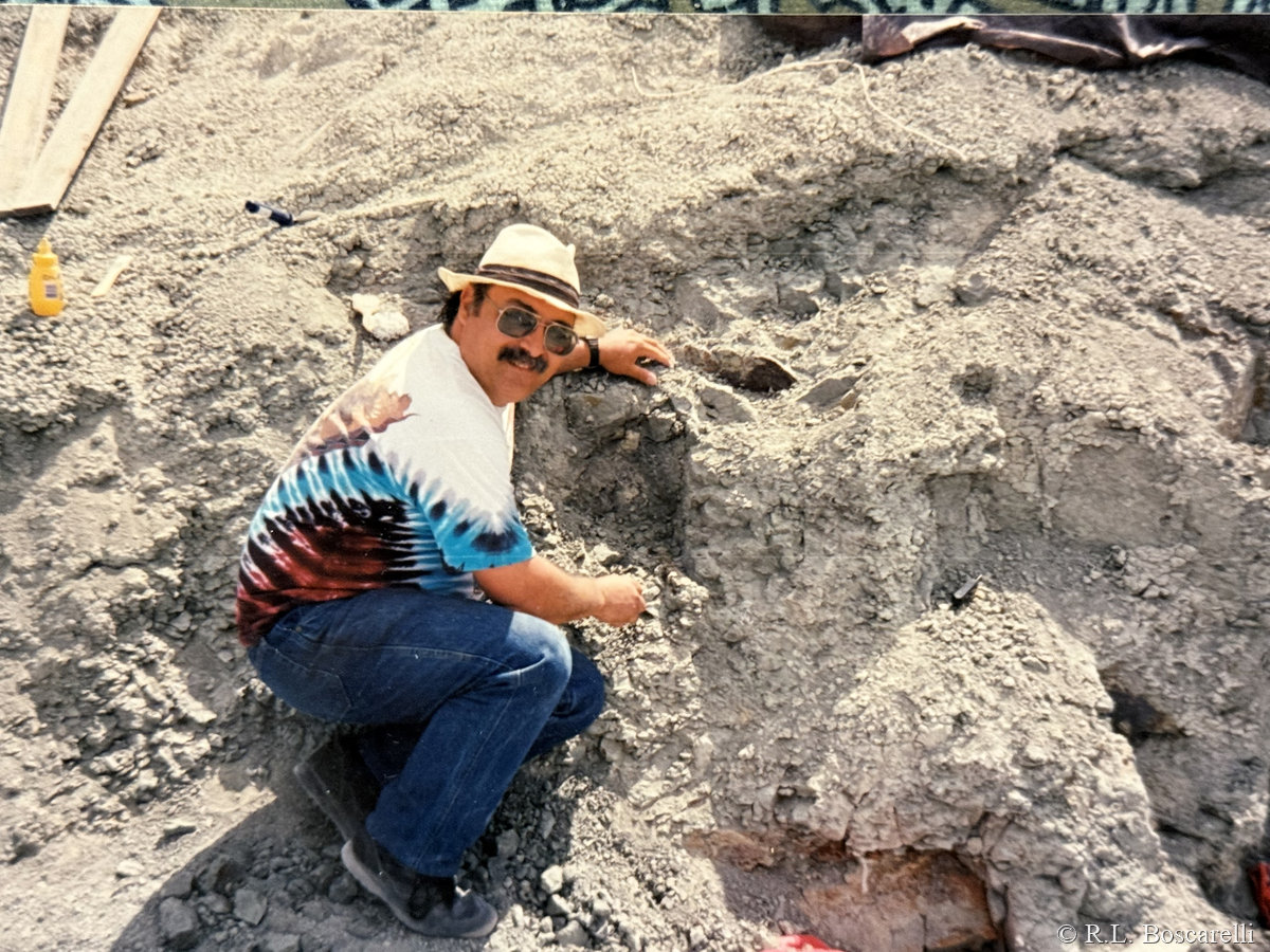 Bosco pointing at exposed sauropod bone at Como Bluff quarry, Wyoming — Morrison Formation