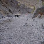 Field expedition vehicles in a Death Valley canyon wash — rock cairns mark the route