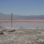 Death Valley salt lake with lone telegraph pole — Badwater Basin area