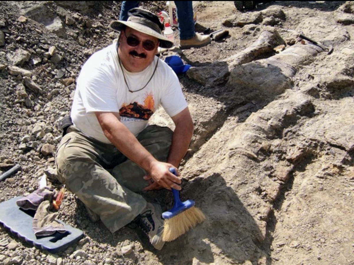 Bosco examining fossil bones at a paleontology excavation