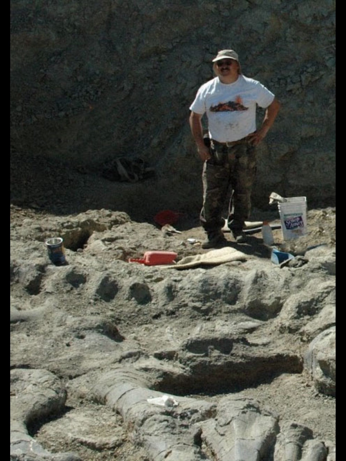 Camarasaurus fossil excavation at Red Canyon Ranch, Wyoming