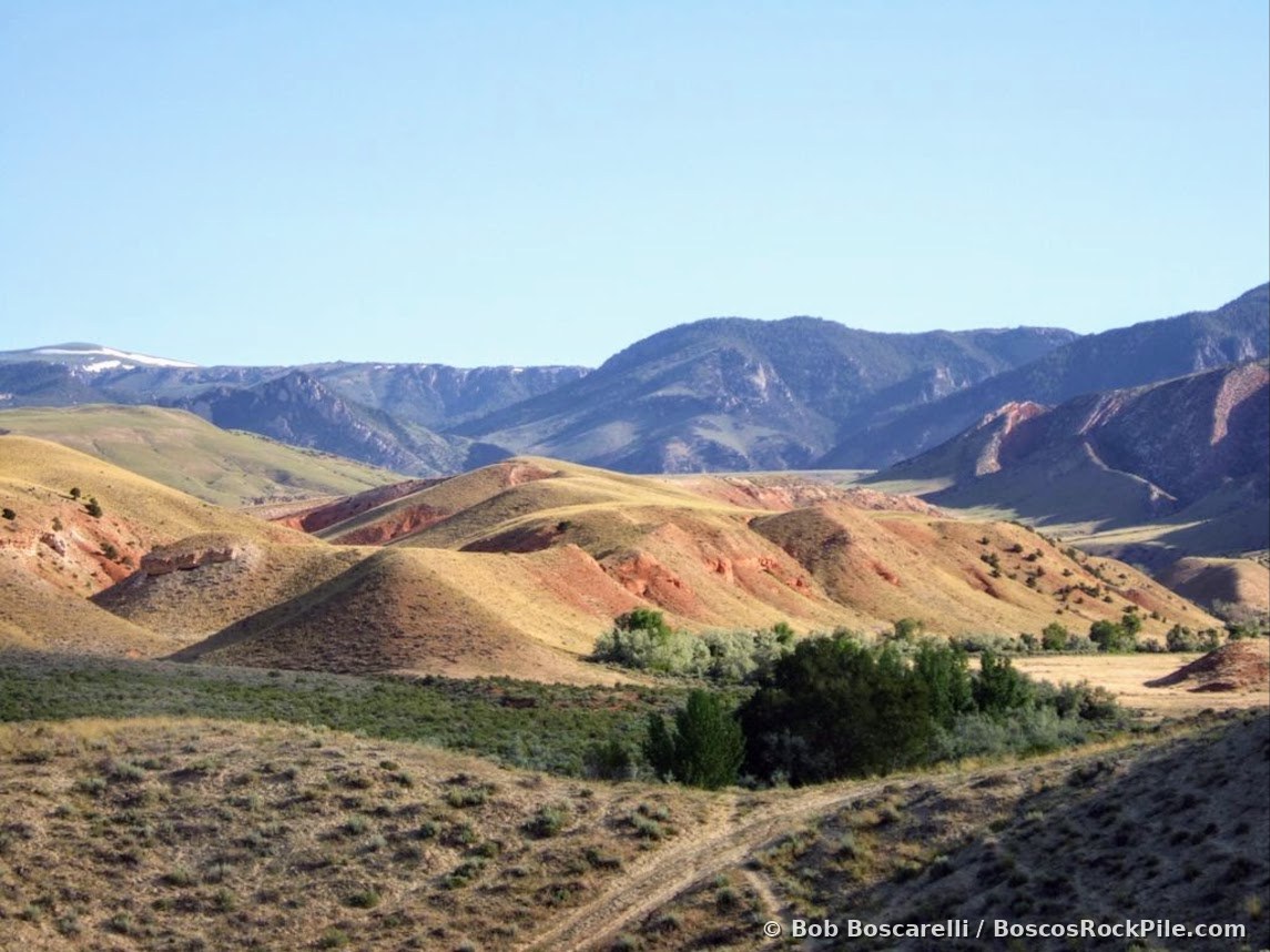 Active paleontology dig site with exposed Jurassic-era fossils