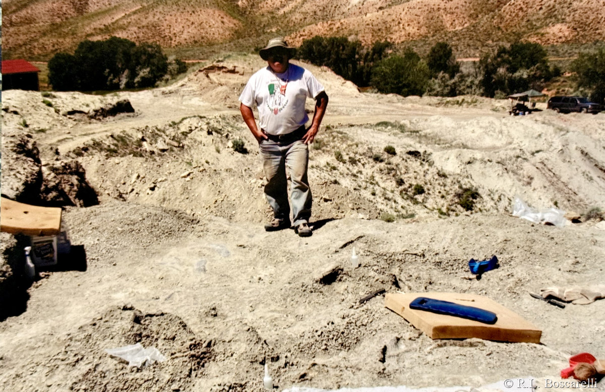 Bosco standing in the Shell Wyoming quarry — Morrison Formation excavation, Bighorn County WY