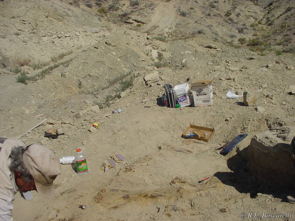 Beginning of the Sophie Stegosaurus excavation — Shell, Wyoming, Morrison Formation, 2004