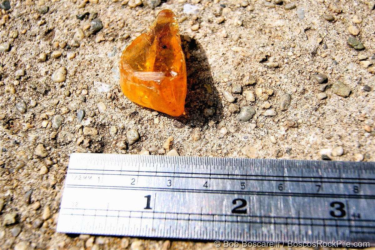 Amber with inclusions